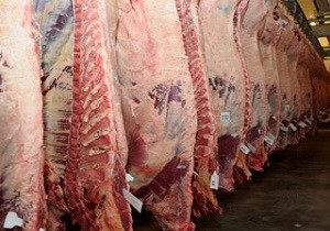 آغاز اجرای طرح تعزیرات در بازار گوشت قرمز از ۱۵ آبان