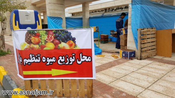 آغاز توزیع میوه تنظیم بازار در شهرستان جم